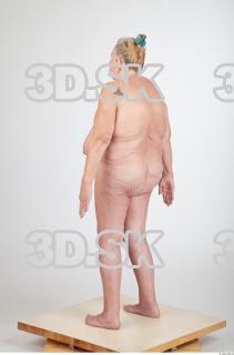 Body texture of Shelia 0045